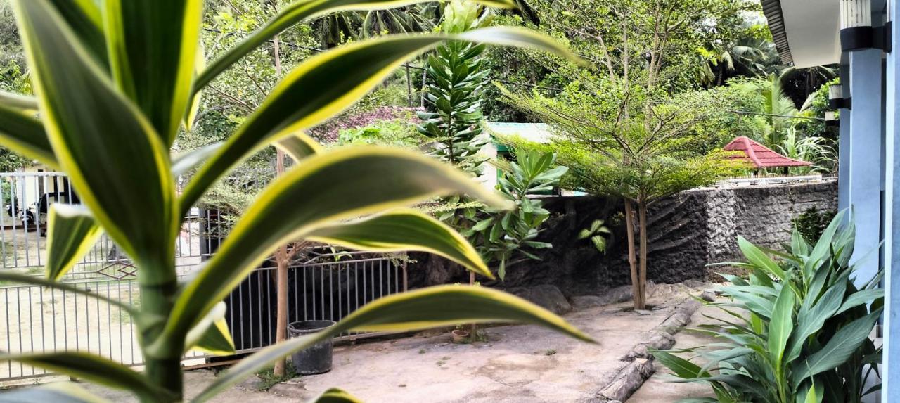 Sakila Homestay Kuta  Zewnętrze zdjęcie